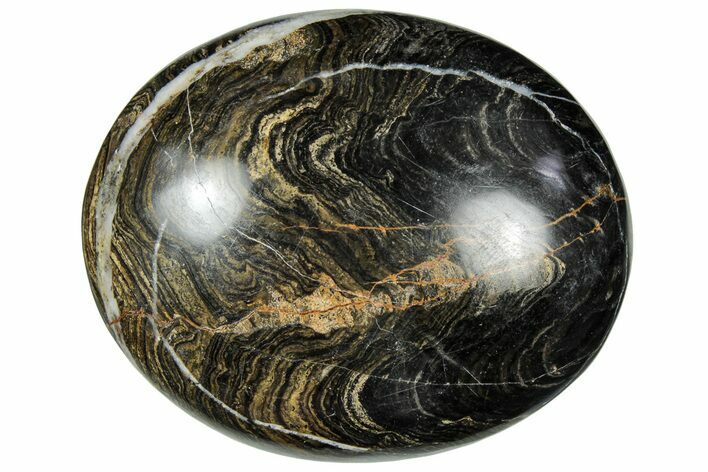 Polished Stromatolite (Greysonia) Pebble - Bolivia #302534